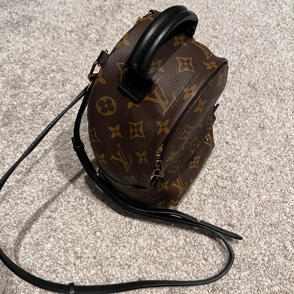 Louis Vuitton Palm Springs mini backpack/crossbody - Picture 2 of 6